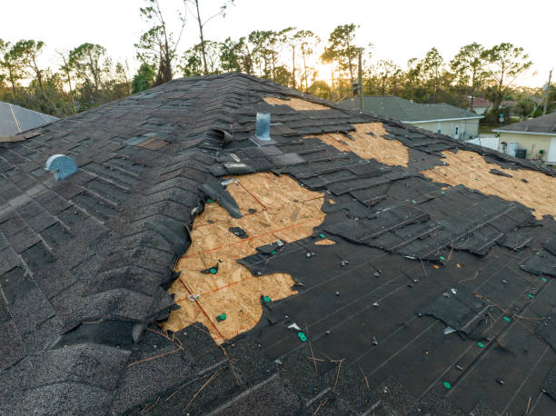 Best Solar Panel Roofing Installation  in Lake Waccamaw, NC